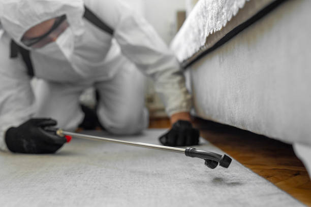 Professional Ant Control technician working in Koontz Lake, IN