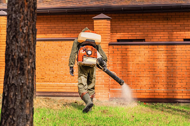 Trusted Bed Bug Control service in Koontz Lake, IN - Nex Pest Control